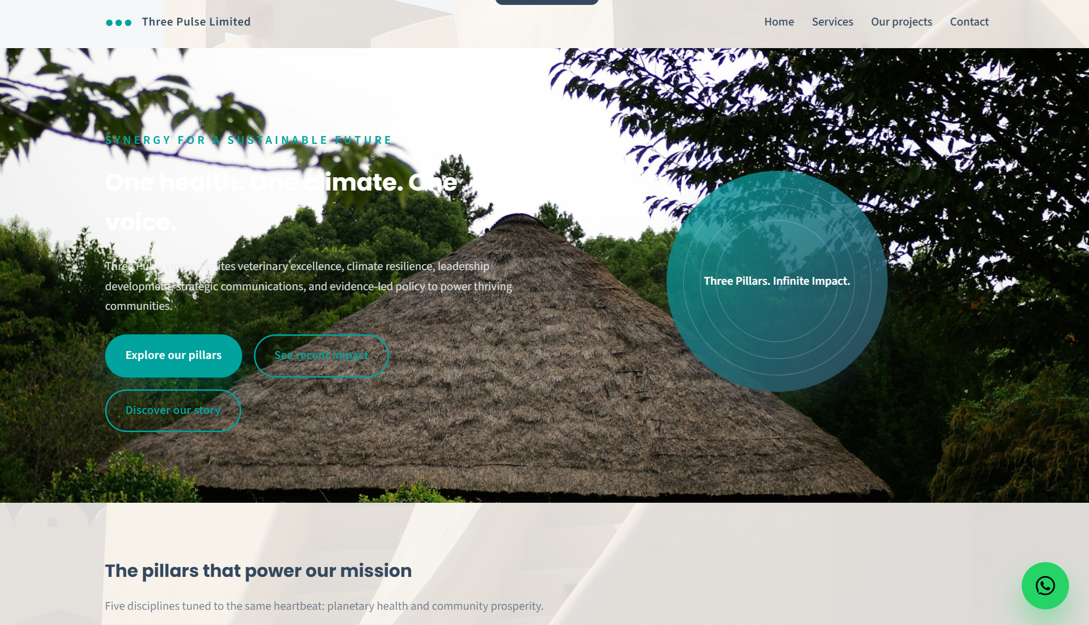 Three Pulse website preview